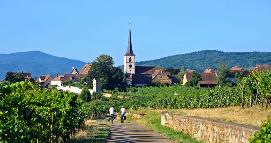 Route des vins d'Alsace, Mittelbergheim, sur l'eurovelo 5