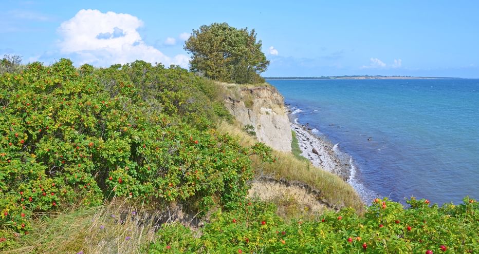 Côte de Fionie