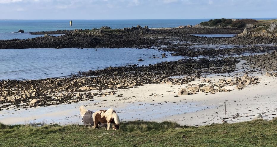 Île de Batz