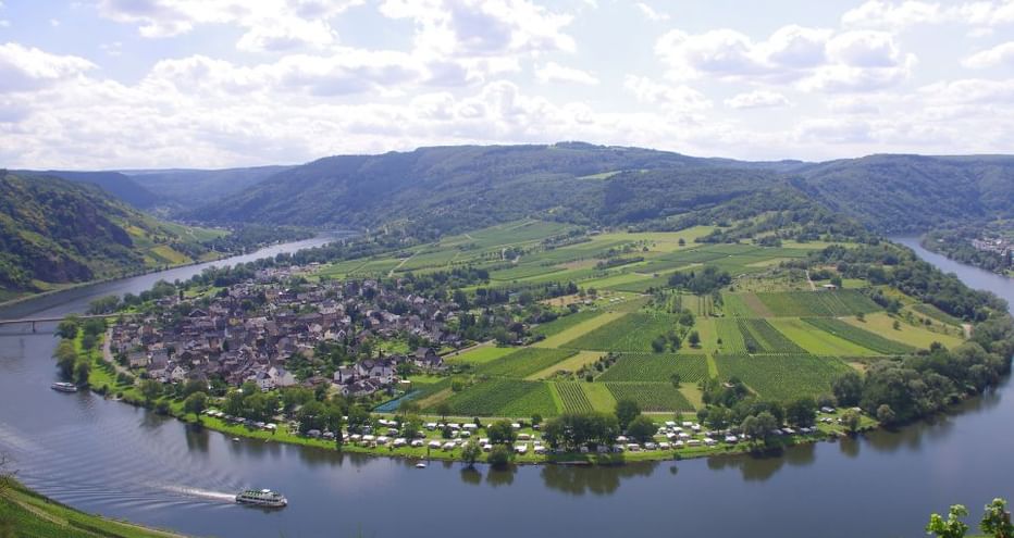 Trittenheim
