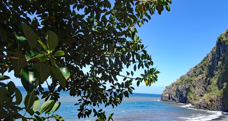 Plage de Madère