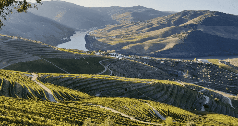 La vallée du Douro