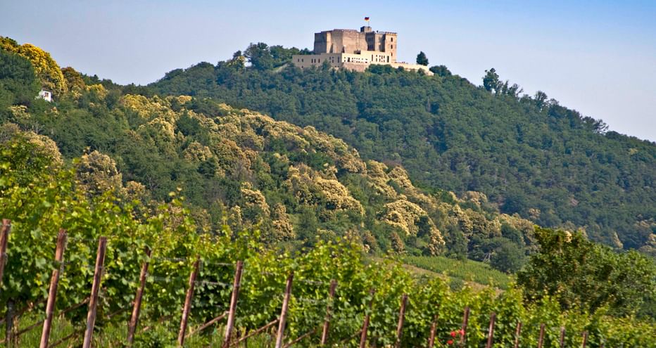 Château de Hambach