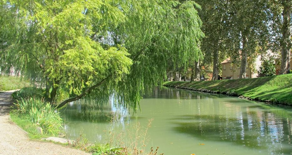 Le long du canal de la Garonne