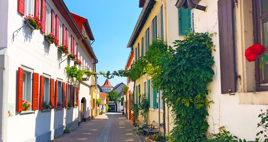 Ruelle pavée étroite dans un village viticole allemand avec maisons blanches, volets colorés, jardinières et vignes grimpantes.