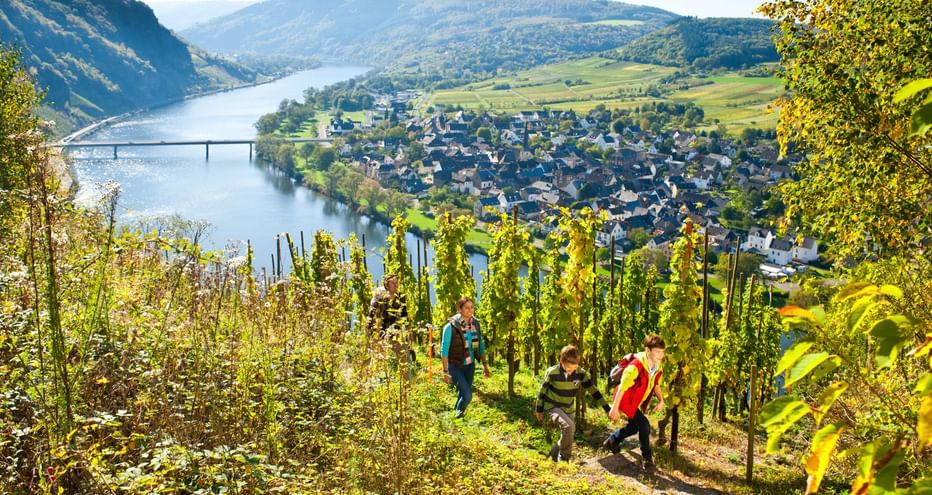 Sentier du Moselsteig