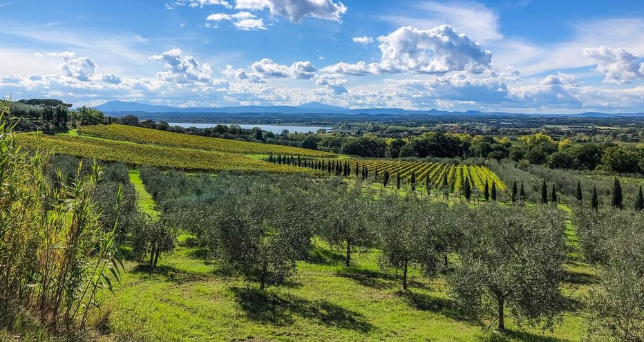 Ombrie, vue sur le Lac Trasimeno